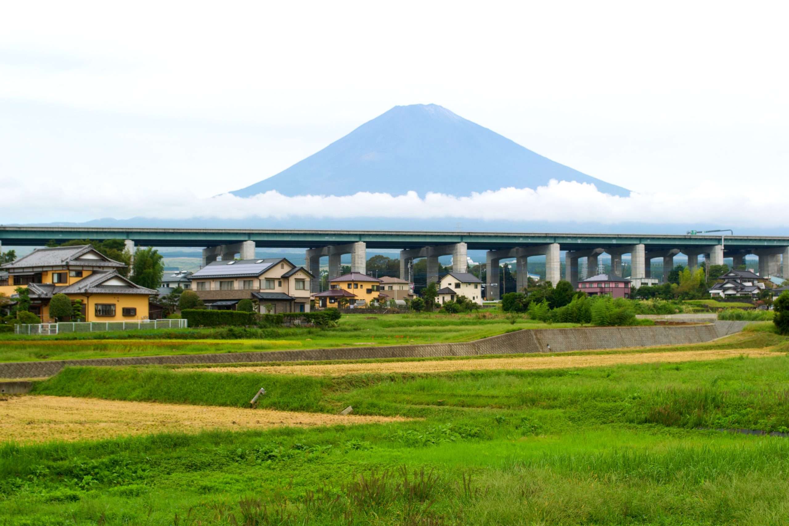 Mt Fuji