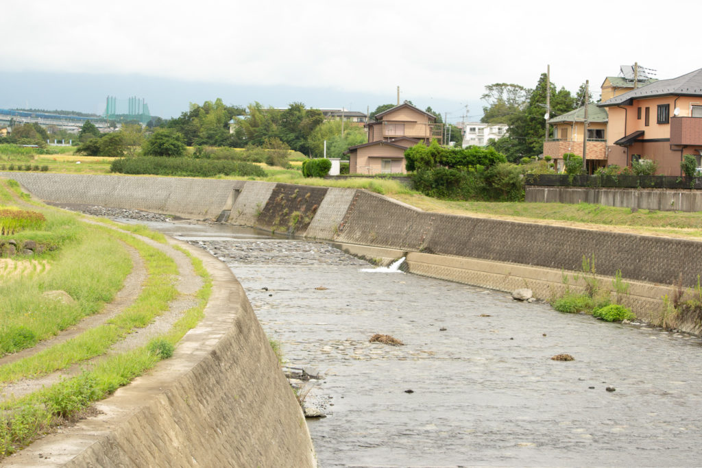 The larger Stream