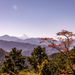 Mt Takao(高尾山）A mountain for all seasons