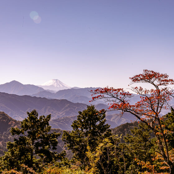 Mt. Takao