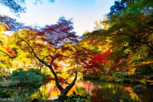 The pond around Narita San