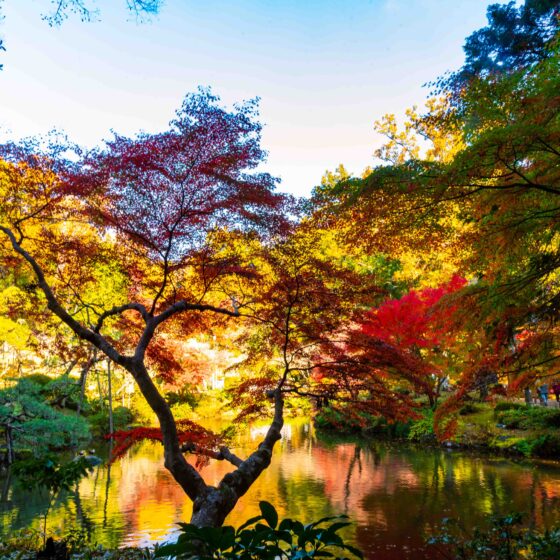 The pond around Narita San