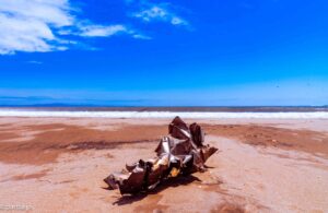 A mass of metal on the Nobiru Coast