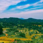 Snakes, Temple houses and Terraced Fields