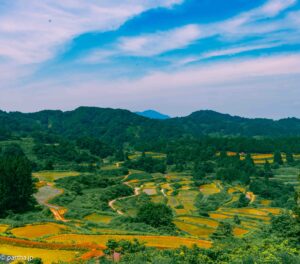 Hoshitouge Terraced Fields