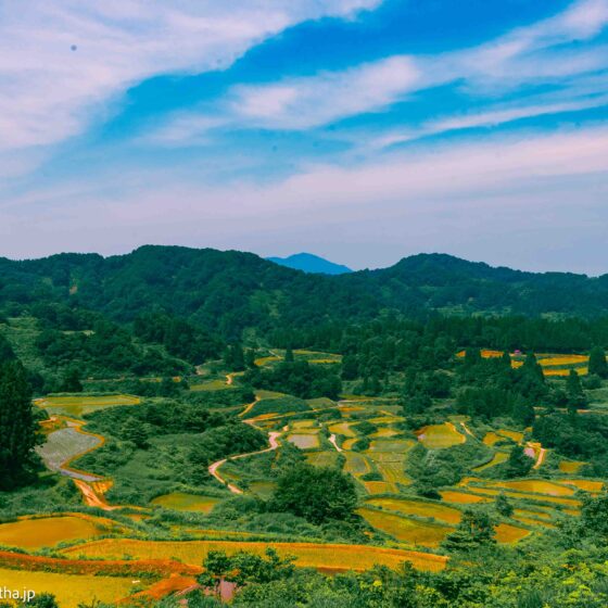 Hoshitouge Terraced Fields